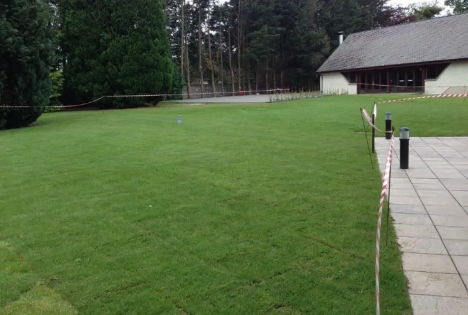 lawns & artificial grass Esher — project 5